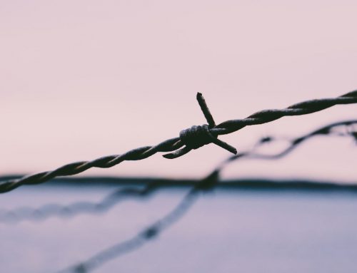 Whistleblower Protection: A Case Study for The Signals Network